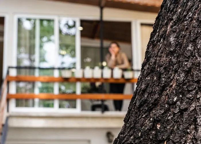 Cozy In Center דירה *