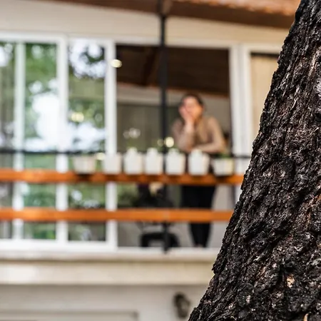 Cozy In Center Apartment *