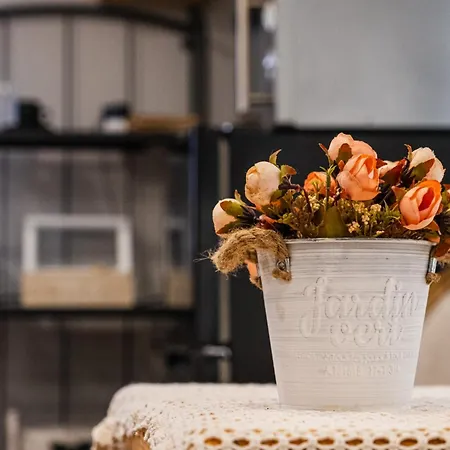 Cozy In Center * Varna